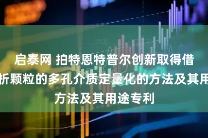 启泰网 拍特恩特普尔创新取得借助于分析颗粒的多孔介质定量化的方法及其用途专利