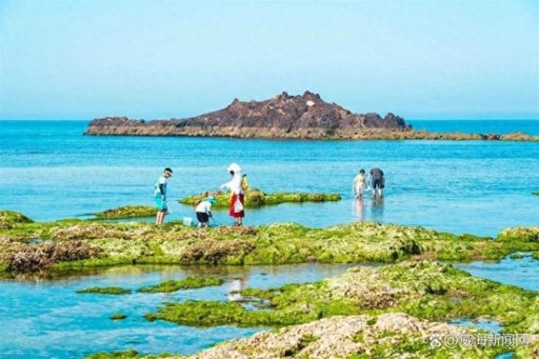 天宇配资 威海荣成那香海鸡鸣岛赶海项目上线：夏日亲子探海，大海馈赠触手可及