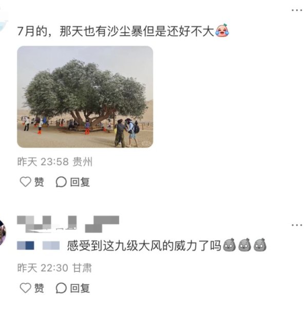 金谷子 敦煌鸣沙山月牙泉“夫妻柳”被大风吹断裂？景区回应：属实，已采取保护措施